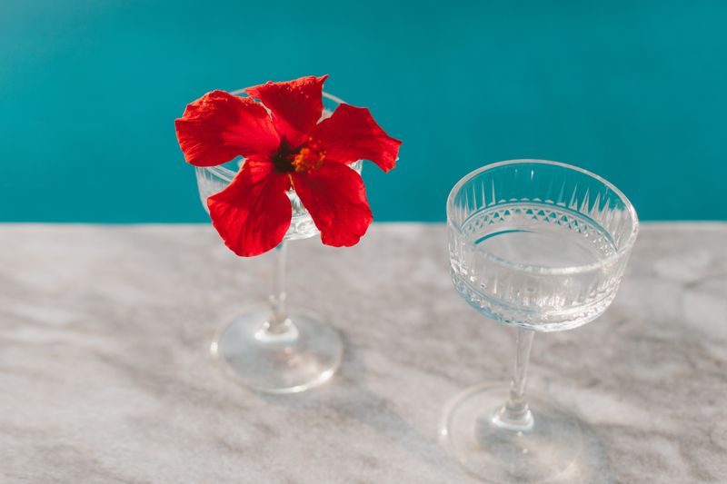 Agua Fresca Hibiscus drink in tall glass